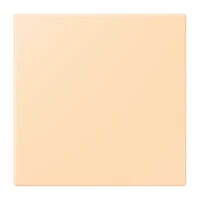 Jung NRS LC 0834 NT 223 Notrufsystem Netzteil Serie LS ocre (32060)