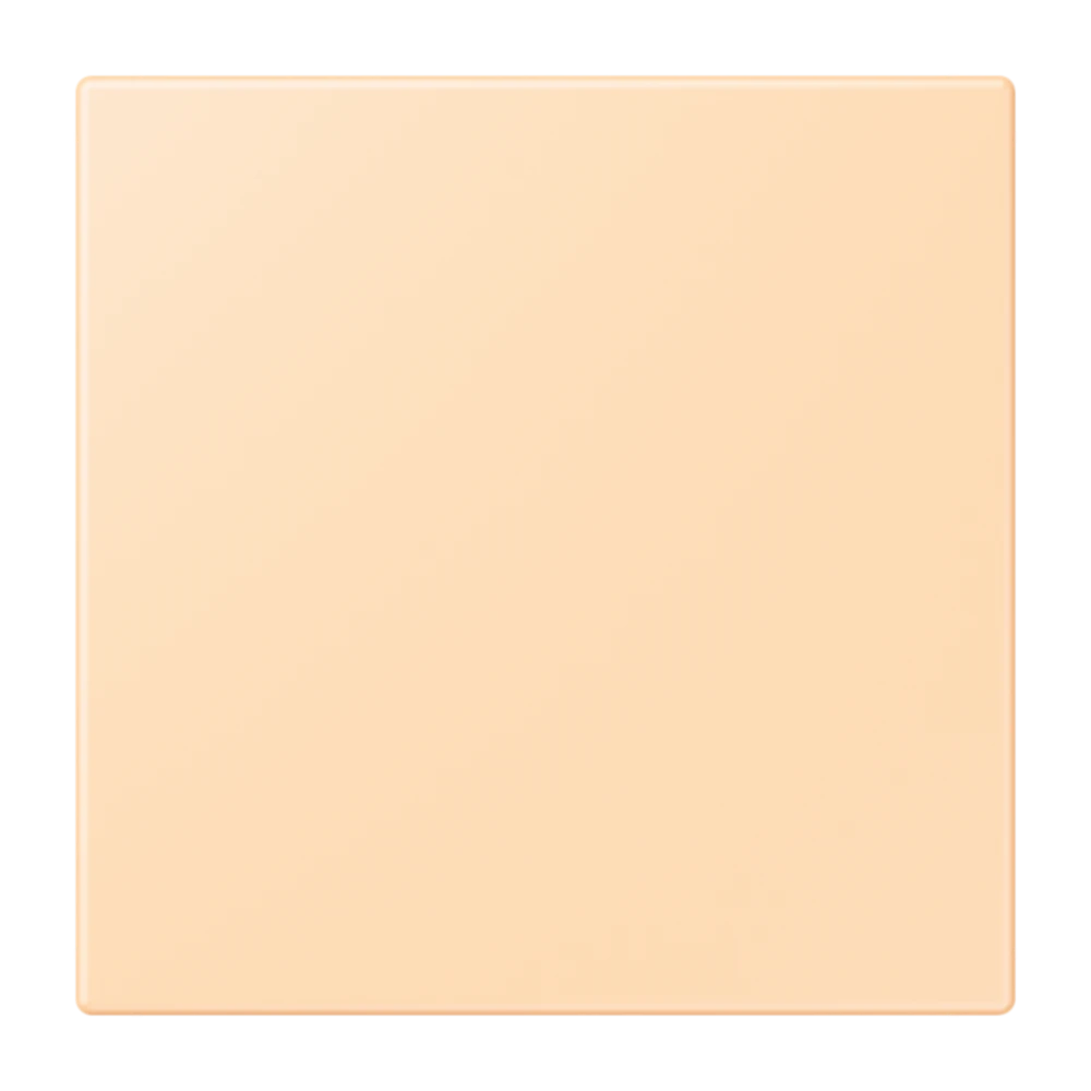 Jung Jung NRS LC 0834 NT 223 Notrufsystem Netzteil Serie LS ocre (32060)