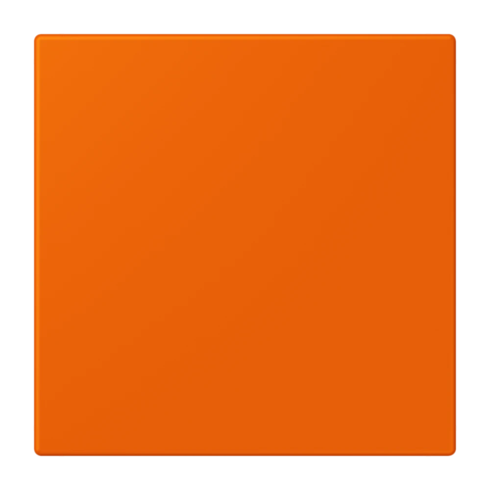 Jung Jung NRS LC 0834 NT 224 Notrufsystem Netzteil Serie LS orange (32080)