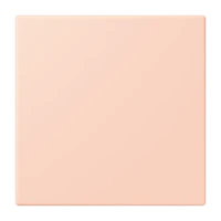 Jung NRS LC 0834 USV 234 Notrufsystem USV-Modul Serie LS locre rouge clair