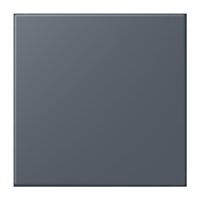 Jung NRS LC 0834 NT 262 Notrufsystem Netzteil Serie LS gris foncé 59 (4320U)