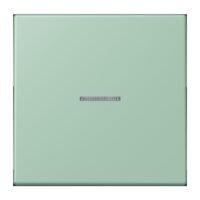 Jung FM LC 1700 217 eNet Taster Standard 1f Duroplast lackiert Serie LS vert