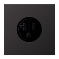 Jung AL 2521-20 D Steckdose US-Norm NEMA 20 A 125V ~ Schraubklemmen Al lackiert