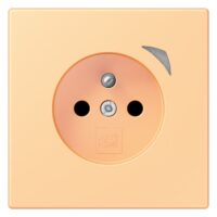 Jung BT LC 1521 F SE 258 JUNG HOME Steckdose Energy französisch/belgisches