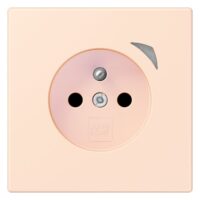Jung BT LC 1521 F SE 226 JUNG HOME Steckdose Energy französisch/belgisches