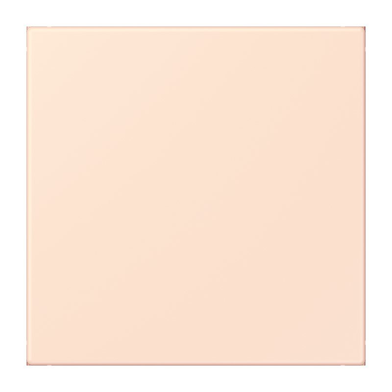 Jung Jung NRS LC 0834 NT 226 Notrufsystem Netzteil Serie LS orange pâle (32082)