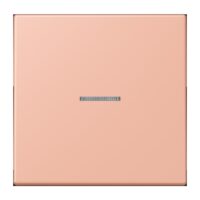 Jung FM LC 1700 231 eNet Taster Standard 1f Duroplast lackiert Serie LS rose