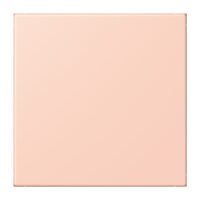 Jung NRS LC 0834 NT 234 Notrufsystem Netzteil Serie LS locre rouge clair