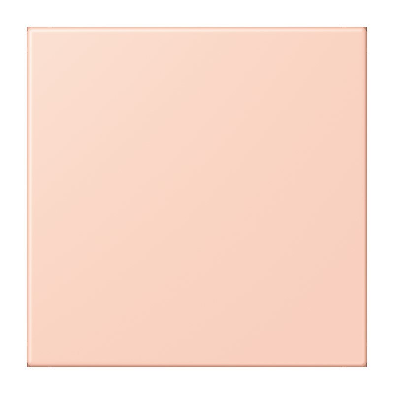 Jung Jung NRS LC 0834 NT 234 Notrufsystem Netzteil Serie LS locre rouge clair