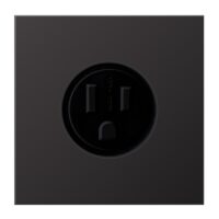 Jung AL 2521-15 D Steckdose US-Norm NEMA 15 A 125V ~ Schraubklemmen Al lackiert