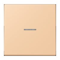 Jung FM LC 1700 237 eNet Taster Standard 1f Duroplast lackiert Serie LS terre
