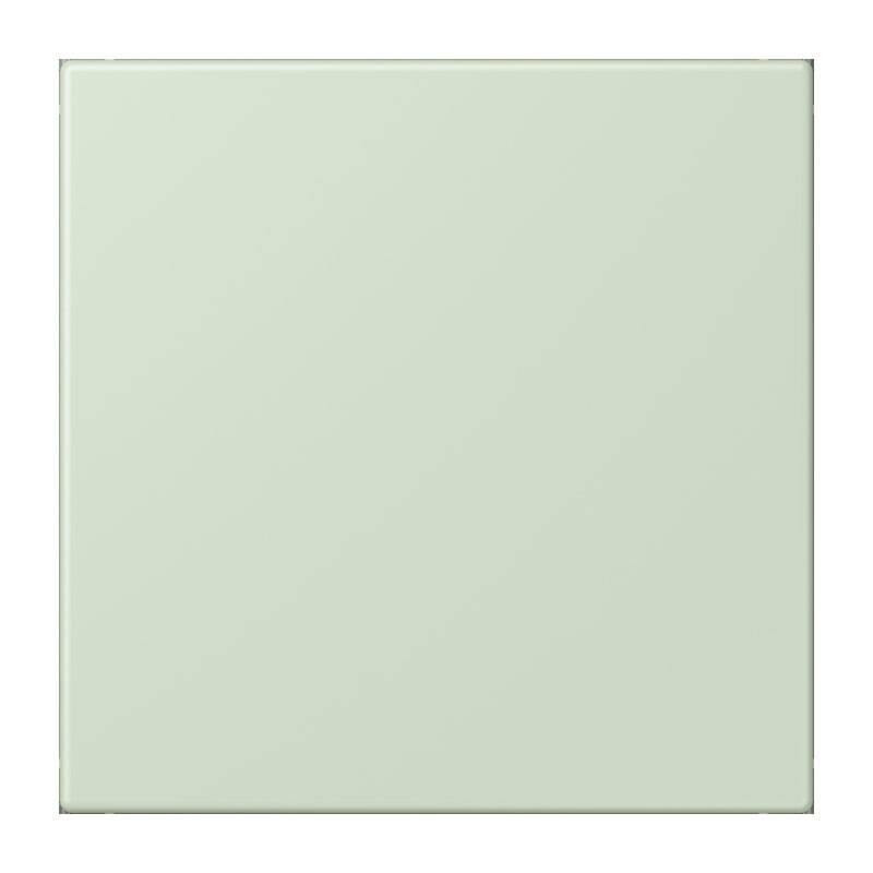 Jung Jung NRS LC 0834 NT 218 Notrufsystem Netzteil Serie LS vertikal anglais pâle