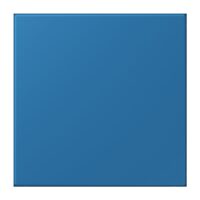 Jung NRS LC 0834 NT 211 Notrufsystem Netzteil Serie LS bleu céruléen 31