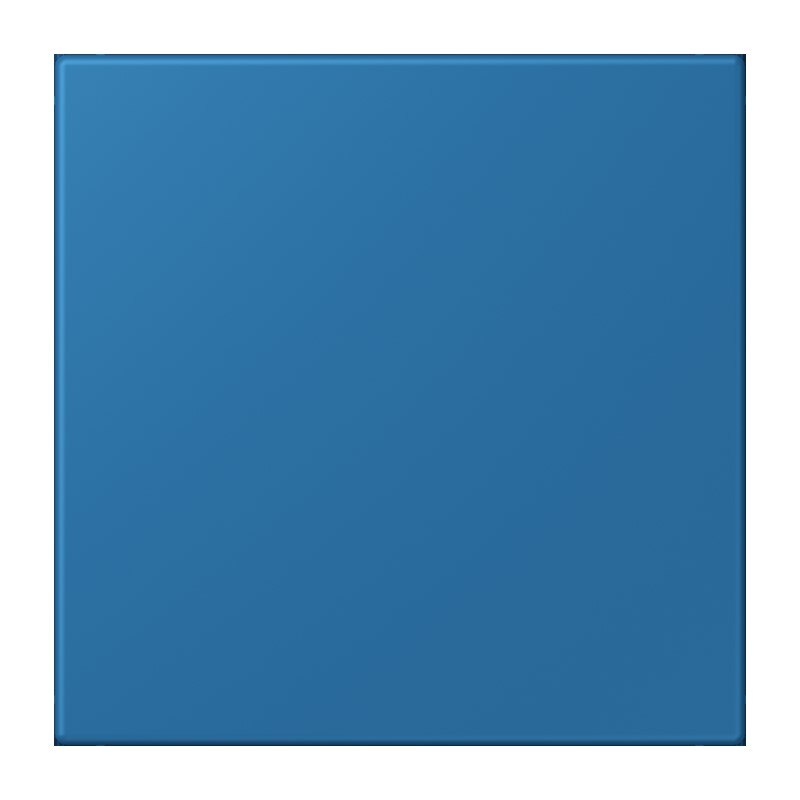 Jung Jung NRS LC 0834 NT 211 Notrufsystem Netzteil Serie LS bleu céruléen 31