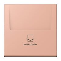 Jung LC 590 CARD 231 Hotelcard-Schalter (ohne Taster-Einsatz) Hotelcard Serie LS