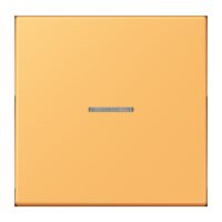 Jung FM LC 1700 254 eNet Taster Standard 1f Duroplast lackiert Serie LS ocre