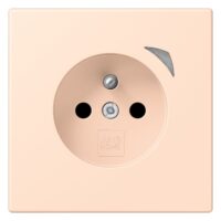Jung BT LC 1521 F SE 228 JUNG HOME Steckdose Energy französisch/belgisches