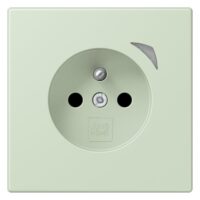 Jung BT LC 1521 F SE 218 JUNG HOME Steckdose Energy französisch/belgisches