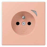 Jung BT LC 1521 F SE 231 JUNG HOME Steckdose Energy französisch/belgisches