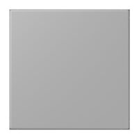 Jung NRS LC 0834 NT 204 Notrufsystem Netzteil Serie LS gris moyen (32012)