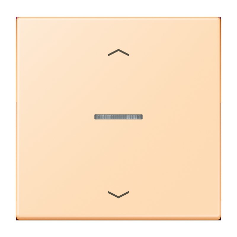 Jung Jung FM LC 1700 P 223 eNet Taster Standard 1-fach mit Pfeilsymbolen Duroplast