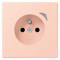 Jung BT LC 1521 F SE 234 JUNG HOME Steckdose Energy französisch/belgisches