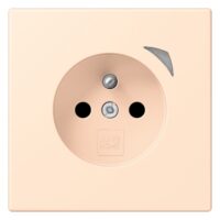 Jung BT LC 1521 F SE 238 JUNG HOME Steckdose Energy französisch/belgisches