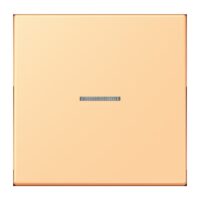 Jung FM LC 1700 258 eNet Taster Standard 1f Duroplast lackiert Serie LS terre