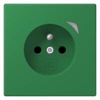 Jung BT LC 1521 F SE 219 JUNG HOME Steckdose Energy französisch/belgisches
