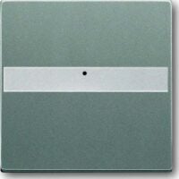 Busch-Jaeger Kontrollwippe Schalter grau solo 1764 NLI-803 metallic BSF