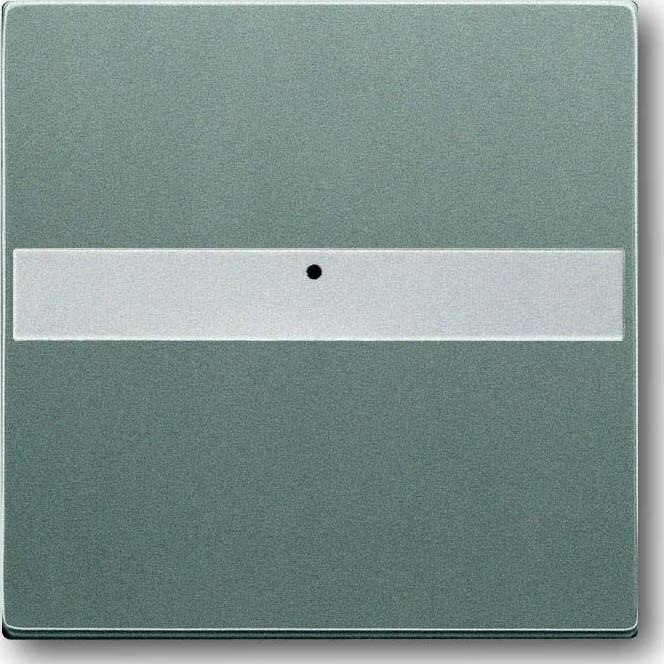 Busch-Jaeger Busch-Jaeger Kontrollwippe Schalter grau solo 1764 NLI-803 metallic BSF