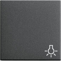 GIRA Wippe Schalter anth Licht System 55 028528