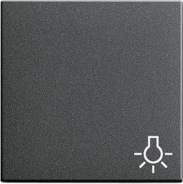Gira Gira Wippe Schalter anthrazit Licht System 55 028528