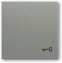 Busch-Jaeger Wippe Schalter grau metallic 2520 TR-803 Schl/Tür