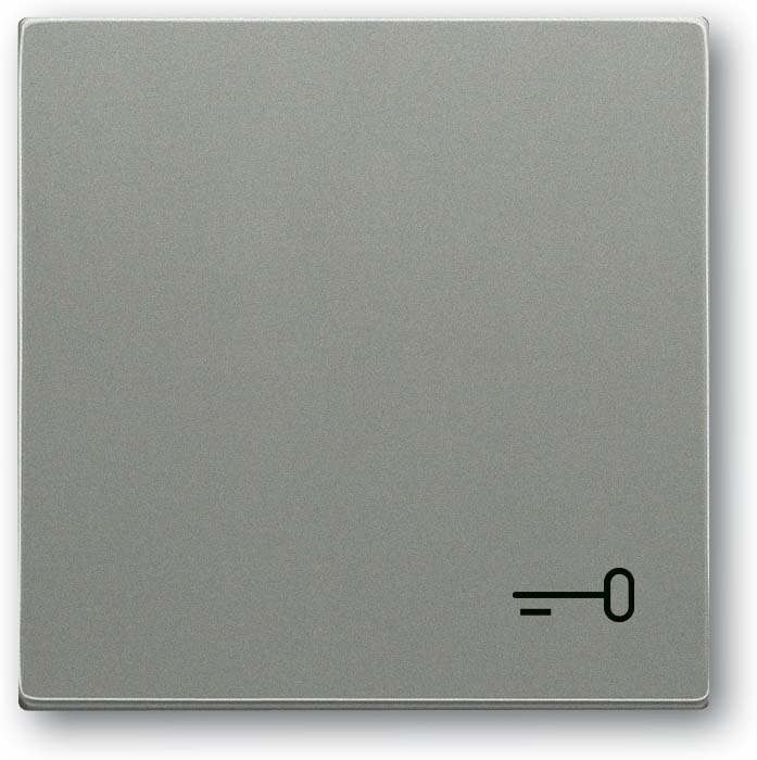 Busch-Jaeger Busch-Jaeger Wippe Schalter grau metallic 2520 TR-803 Schl/Tür