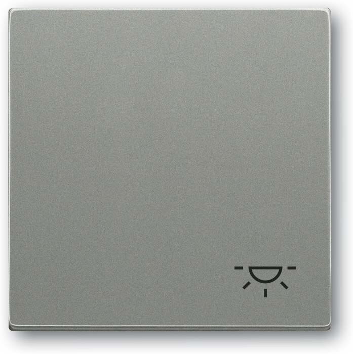 Busch-Jaeger Busch-Jaeger Wippe Schalter grau metallic 2520 LI-803 Licht