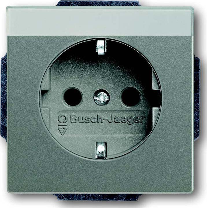 Busch-Jaeger Busch-Jaeger Steckdose 1-fach grau metallic Unterputz solo 20 EUN-803 IP20 BSF