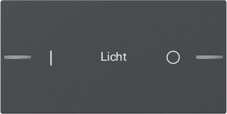 Gira Gira Tastwippe anthrazit Kunststoff Thermopl 2-fach 862228