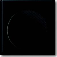Busch-Jaeger Zentralplatte Audio/Video AudioWorld 8253-775 schwarz Klemmbef