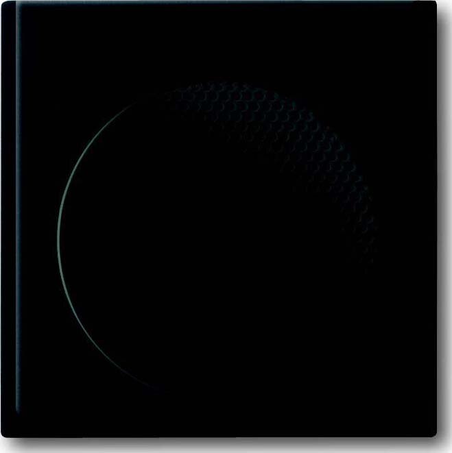 Busch-Jaeger Busch-Jaeger Zentralplatte Audio/Video AudioWorld 8253-775 schwarz Klemmbef