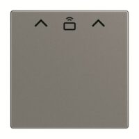 Busch-Jaeger Hotelcard Schalter grau glänzend 1792 RFID-803
