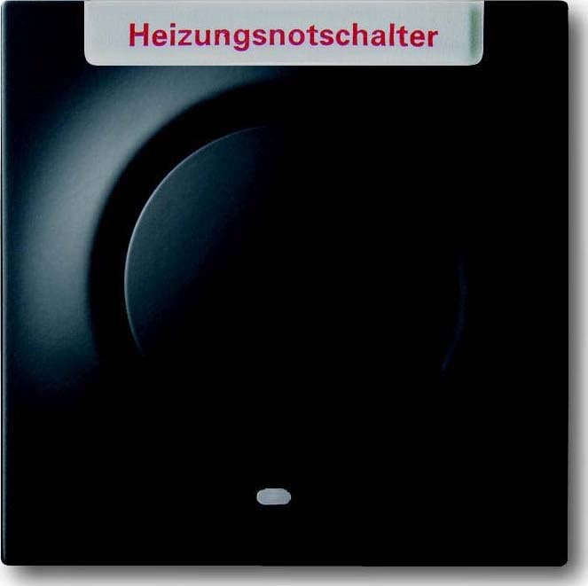 Busch-Jaeger Busch-Jaeger Zentralplatte Schalter schwarz impuls 1789 H-775-101 matt BSF