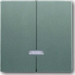 Busch-Jaeger Wippe Serien Symbol Dimmer 6545-803 grau metallic
