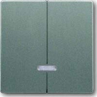 Busch-Jaeger Wippe Serien Symbol Dimmer 6545-803 grau metallic