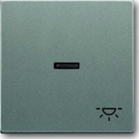 Busch-Jaeger Kontrollwippe Schalter grau solo 1789 LI-803 metallic Licht