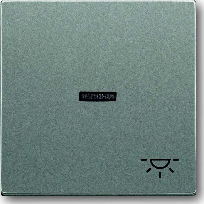 Busch-Jaeger Busch-Jaeger Kontrollwippe Schalter grau solo 1789 LI-803 metallic Licht