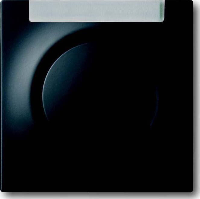 Busch-Jaeger Busch-Jaeger Kontrollwippe Schalter schwarz impuls 1781-775 matt BSF