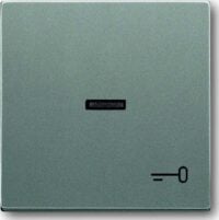 Busch-Jaeger Kontrollwippe Schalter grau solo 1789 TR-803 metallic Schl/Tür
