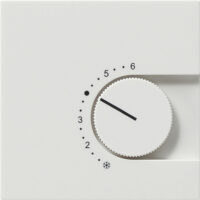 GIRA Drehknopf Raumtemp rws mt Fläche 1490112 div.Symbole