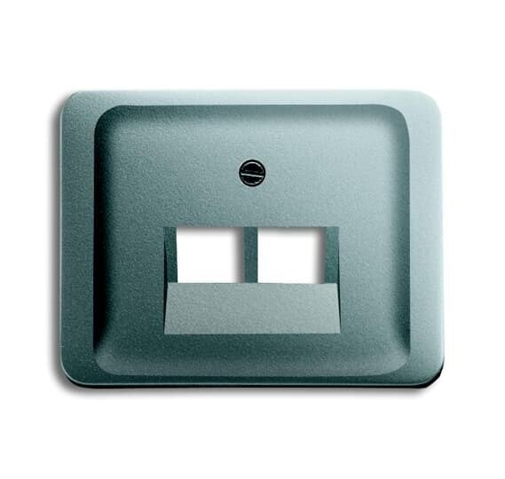 Busch-Jaeger Busch-Jaeger Zentralplatte UAE/IAE 2-fach ti alpha 1803-02-266 Schraubbefestigung